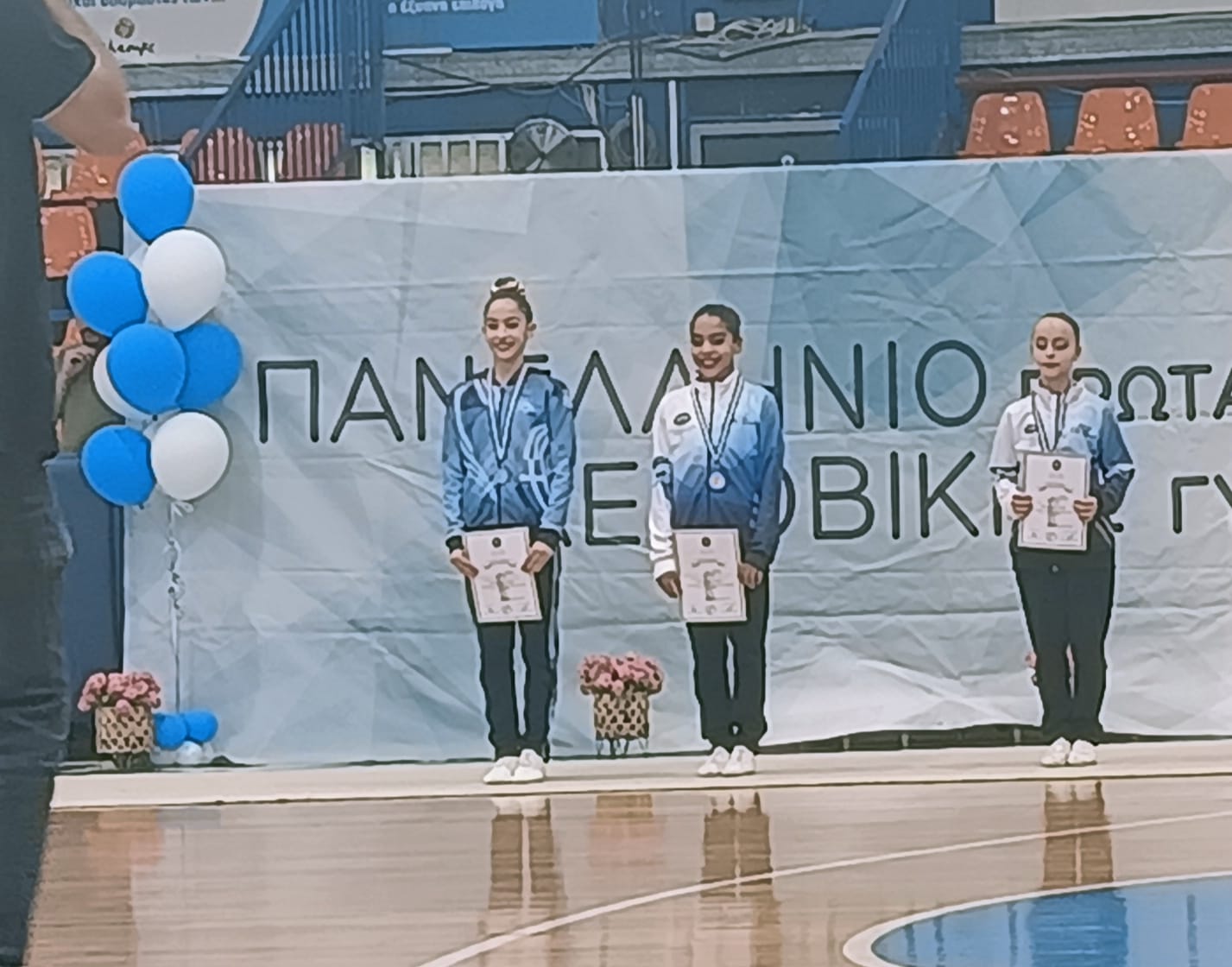 PANELLINIO AEROVIKIS 2024 1